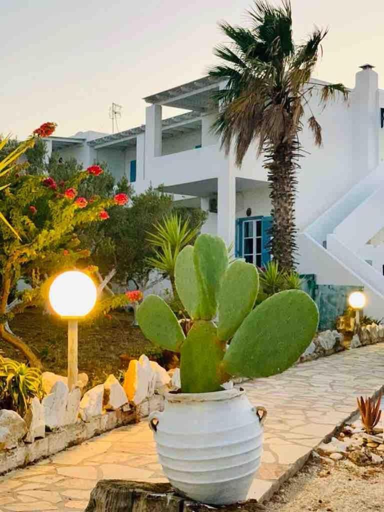 لوغاراس Stavros Studios المظهر الخارجي الصورة